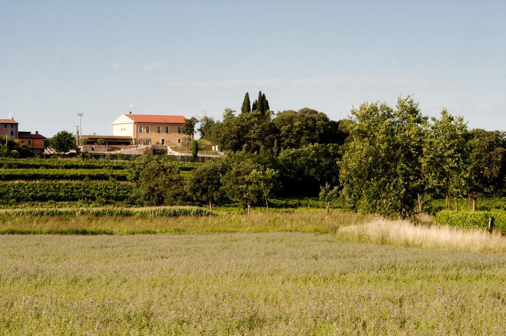 Agriturismo Panorama Salionze المظهر الخارجي الصورة