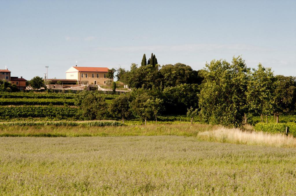 فيلا كاستلْنْيوفو ديل غاردفي Agriturismo Panorama المظهر الخارجي الصورة