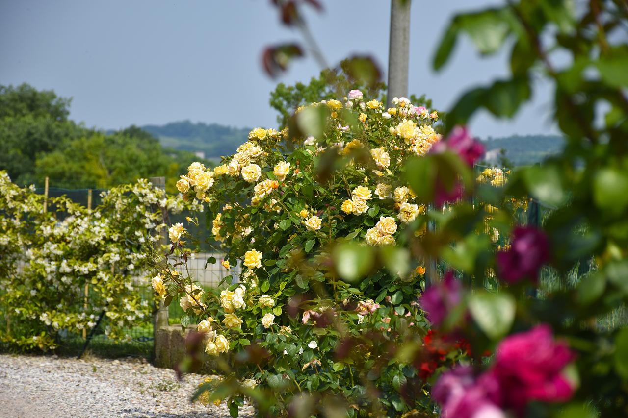 فيلا كاستلْنْيوفو ديل غاردفي Agriturismo Panorama المظهر الخارجي الصورة